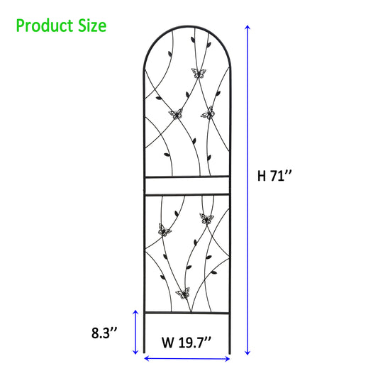 25166997