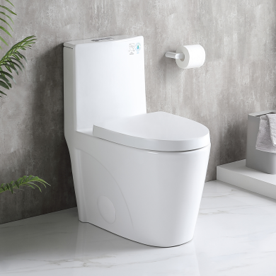 Toilets & Bidets