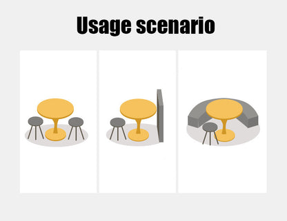 25136300