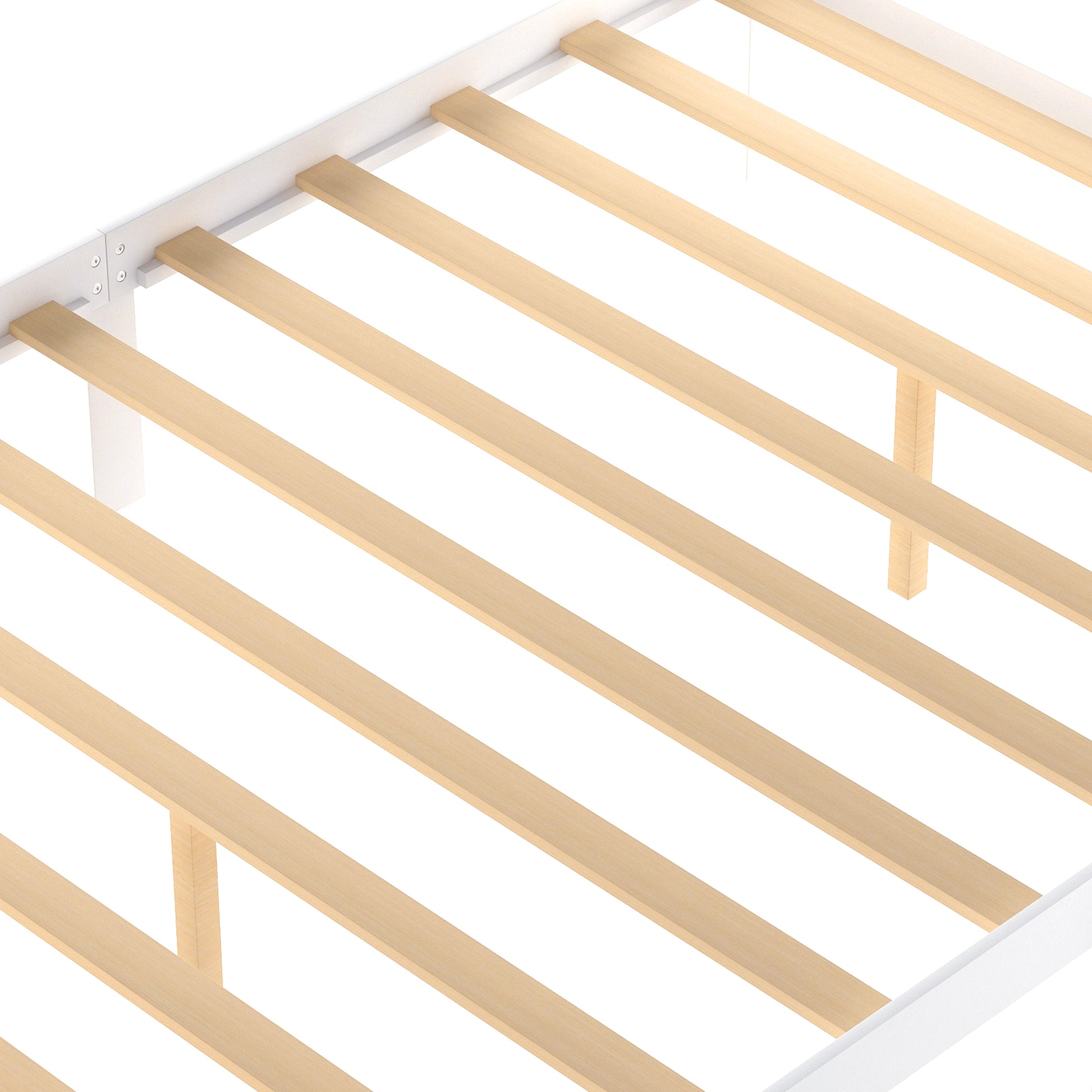 25121613